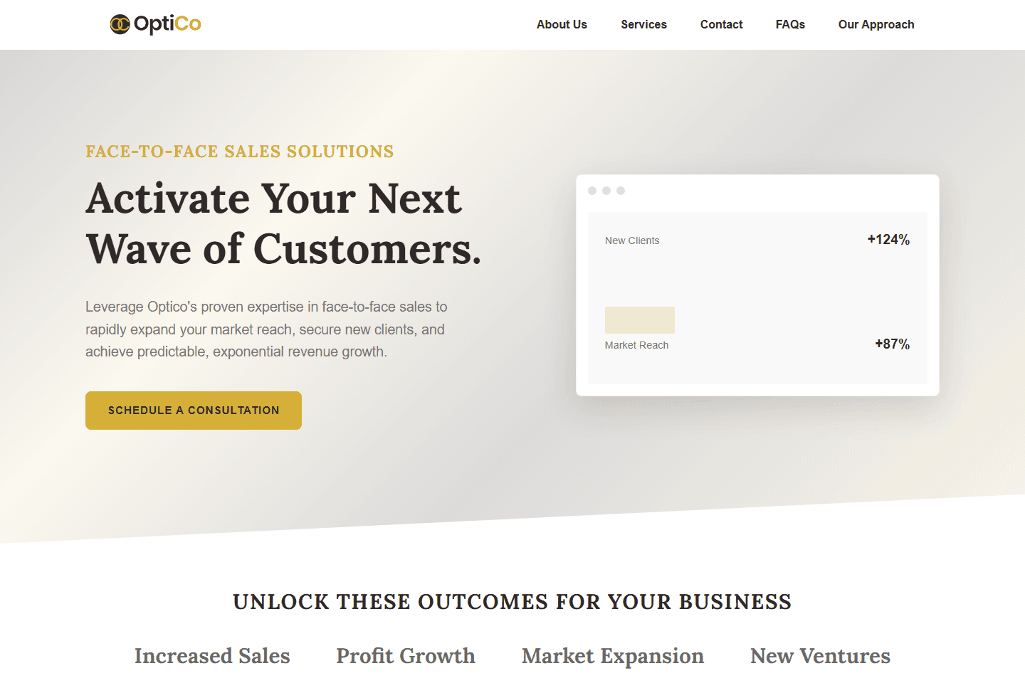 Screenshot of the The Optico website